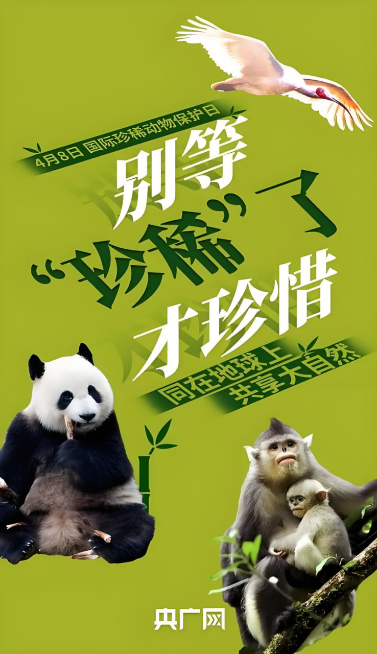 排名第四动漫